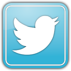 twitter-bird-logo-png-transparent-background